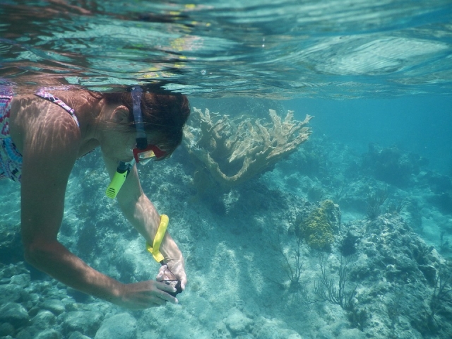  Fotografia em seu snorkel 